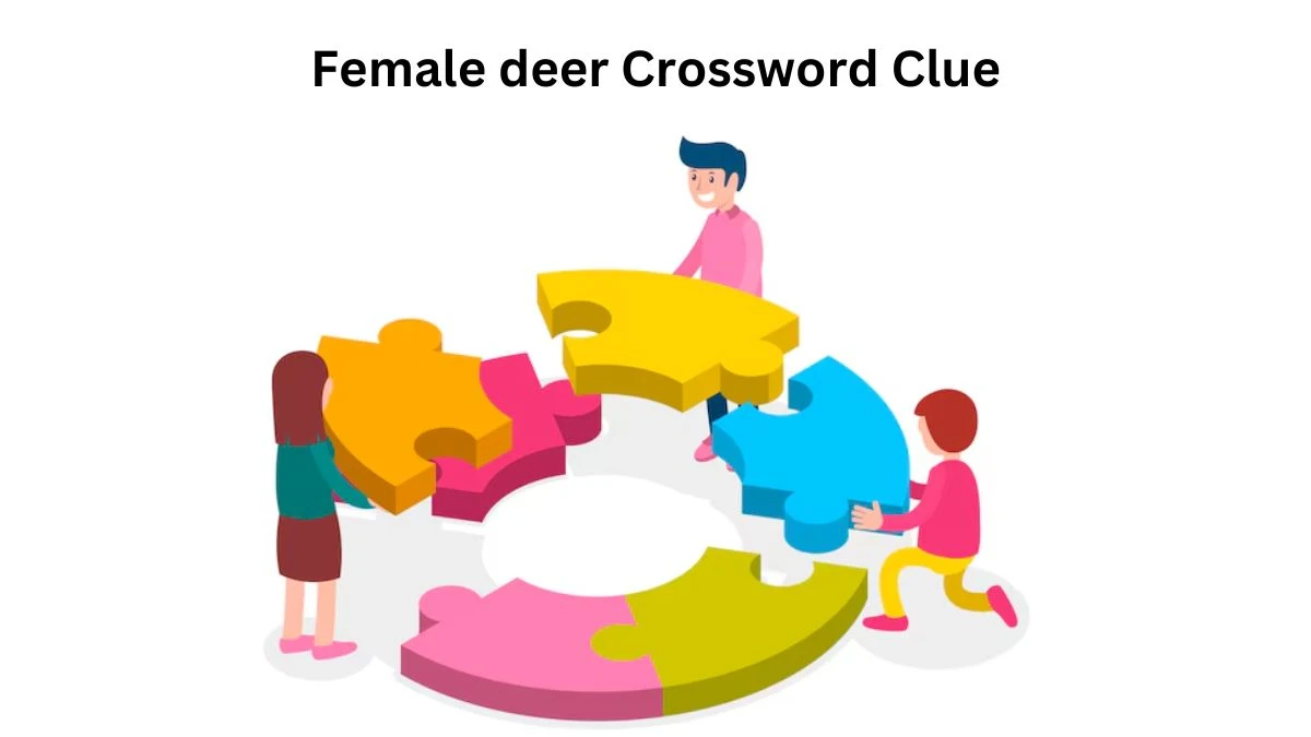 Female deer Crossword Clue