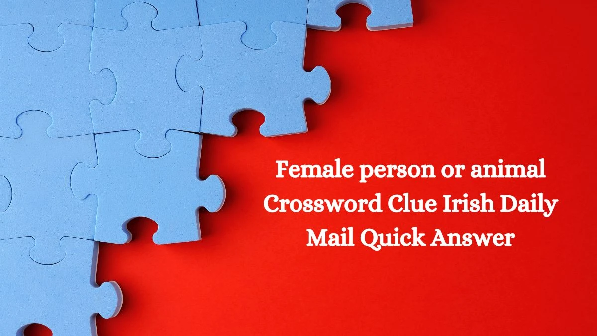 Female person or animal Crossword Clue Irish Daily Mail Quick Answer