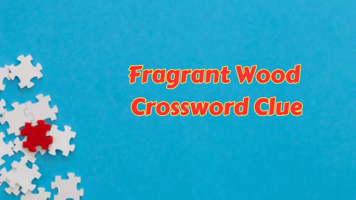 Fragrant Wood Crossword Clue 5 Letters