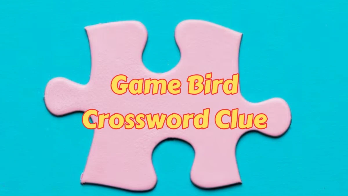 Game Bird Crossword Clue 5 Letters