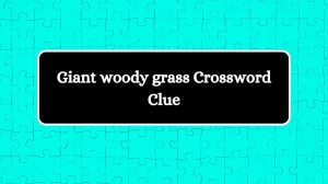 Giant woody grass Crossword Clue