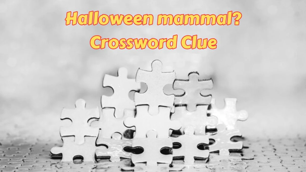 Halloween mammal? Crossword Clue 3 Letters