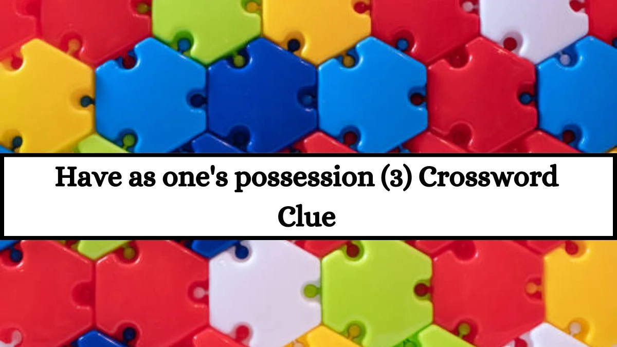 Have as one's possession (3) Crossword Clue