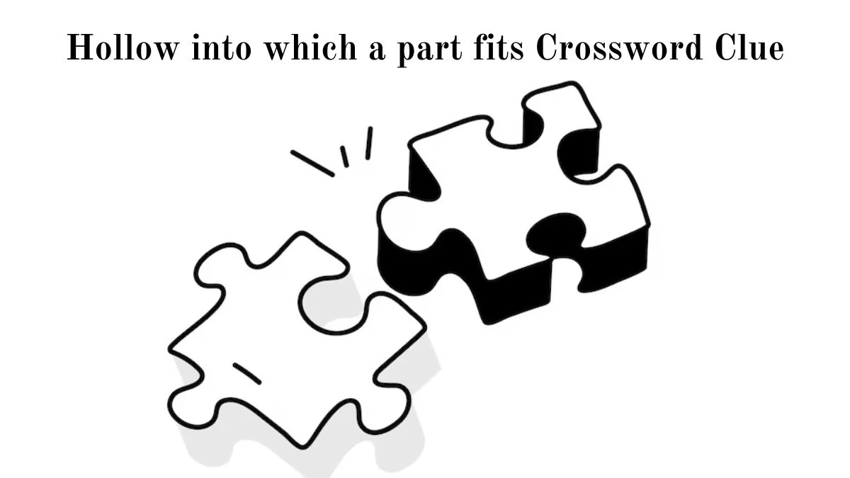 Hollow into which a part fits Crossword Clue