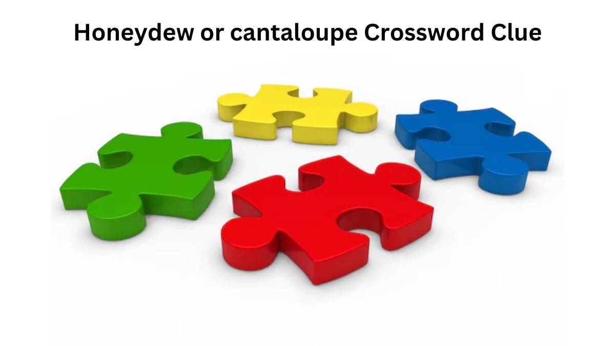 Honeydew or cantaloupe Crossword Clue