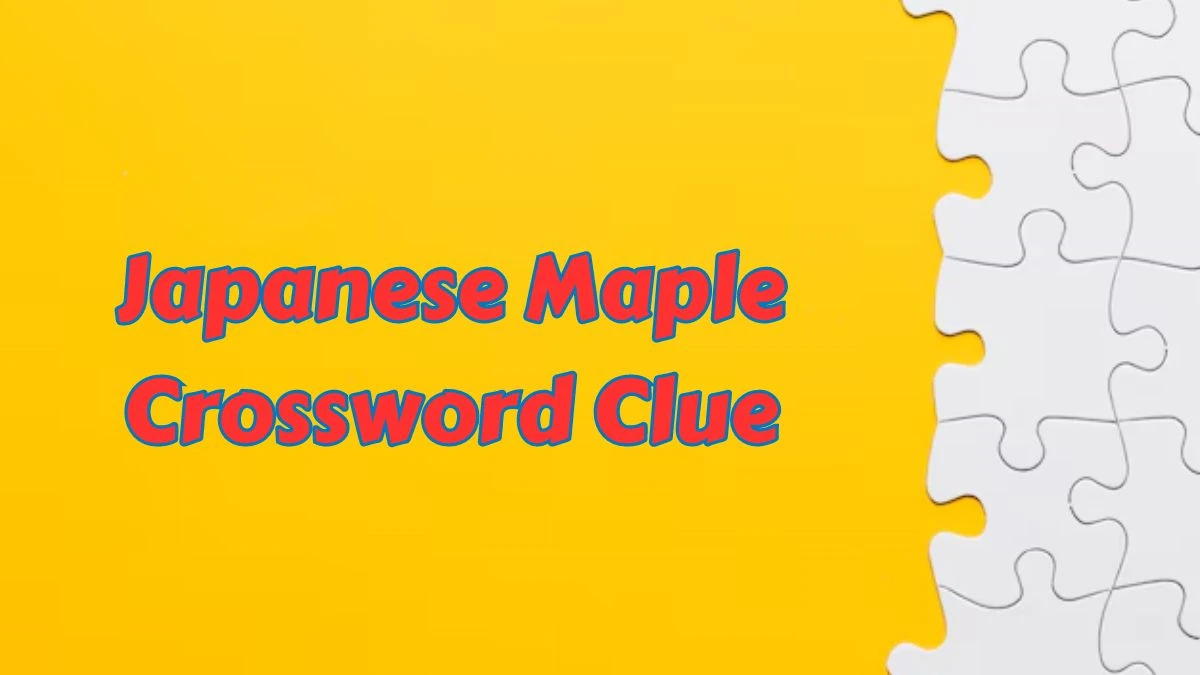 Japanese Maple Crossword Clue 4 Letters