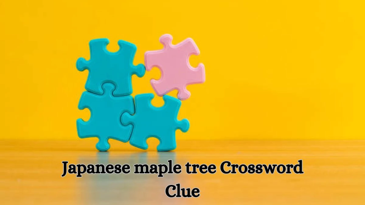 Japanese maple tree Crossword Clue Irish Daily Mail Quick Answer