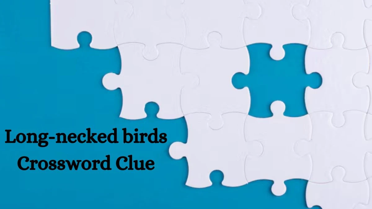 Long-necked birds Crossword Clue