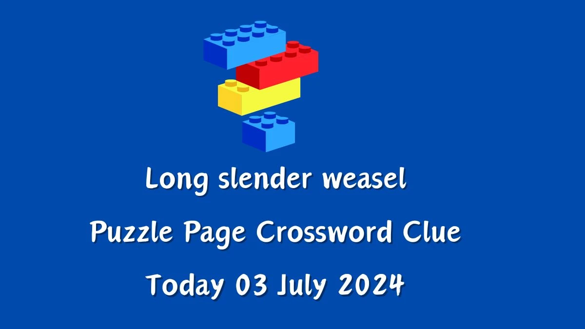 Long slender weasel Crossword Clue Puzzle Page Answer