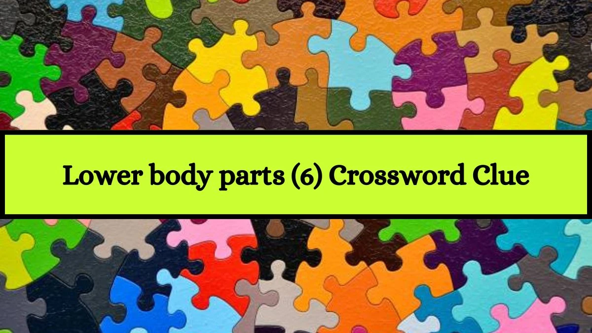 Lower body parts (6) Crossword Clue