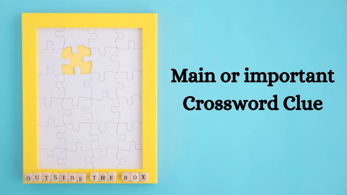 Main or important Crossword Clue