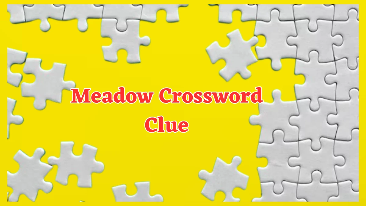 Meadow Crossword Clue 3 Letters