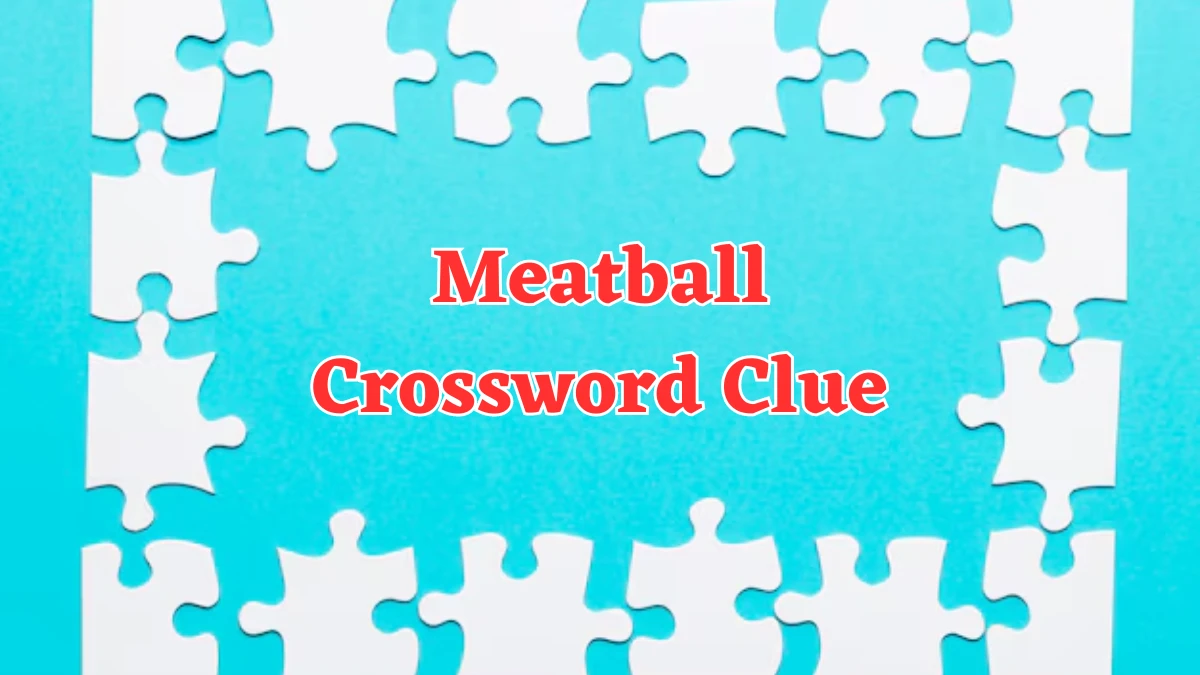 Meatball Crossword Clue 7 Letters