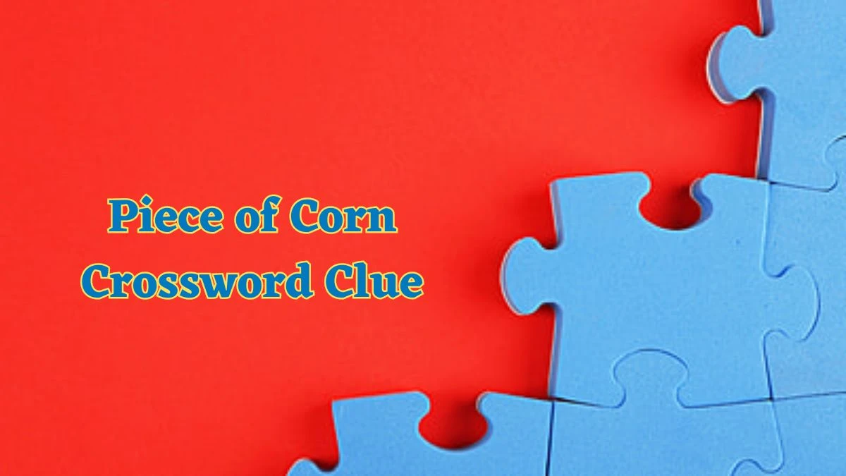 Piece of Corn Crossword Clue Mirror Quick Answer