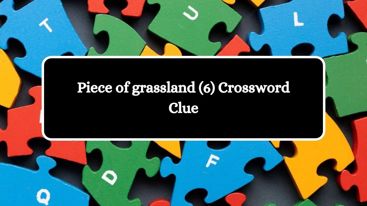 Piece of grassland (6) Crossword Clue