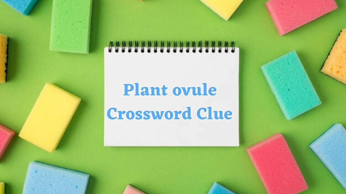 Plant ovule Crossword Clue 4 Letters