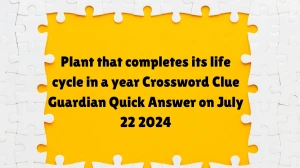 Plant that completes its life cycle in a year Crossword Clue