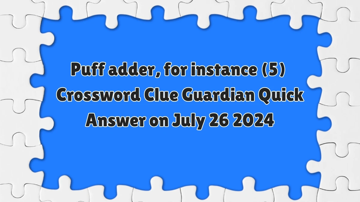 ​Puff adder, for instance Crossword Clue