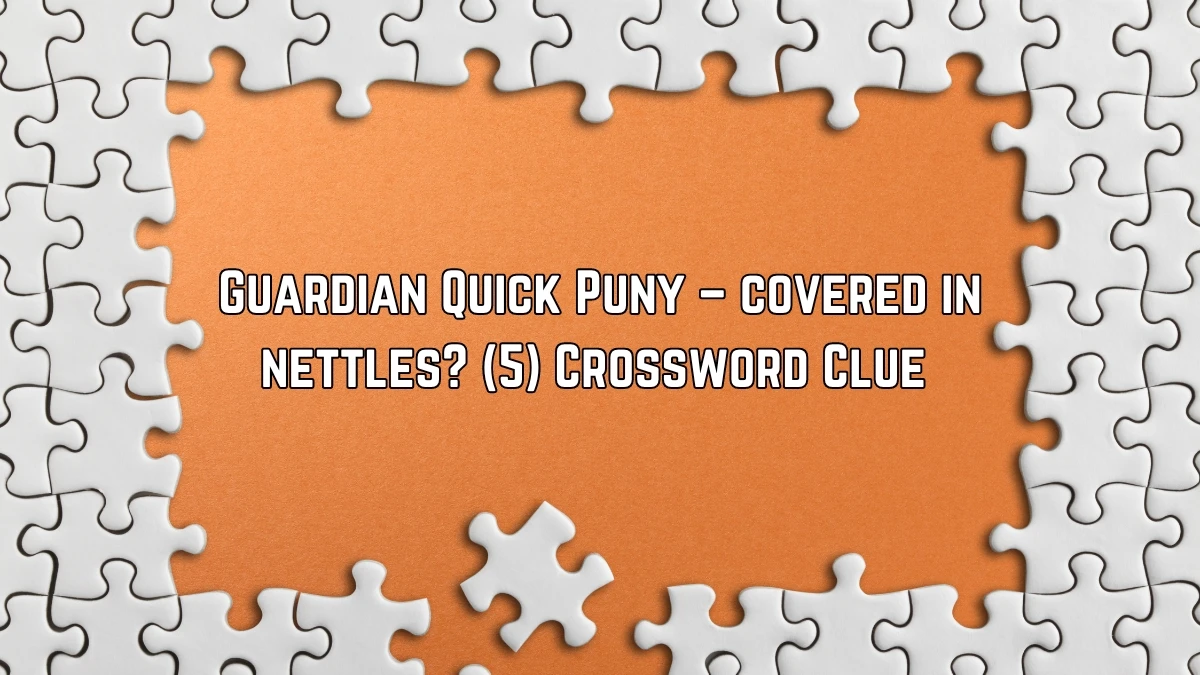 Guardian Quick ​Puny – covered in nettles? (5)​ Crossword Clue 5 Letters Answer