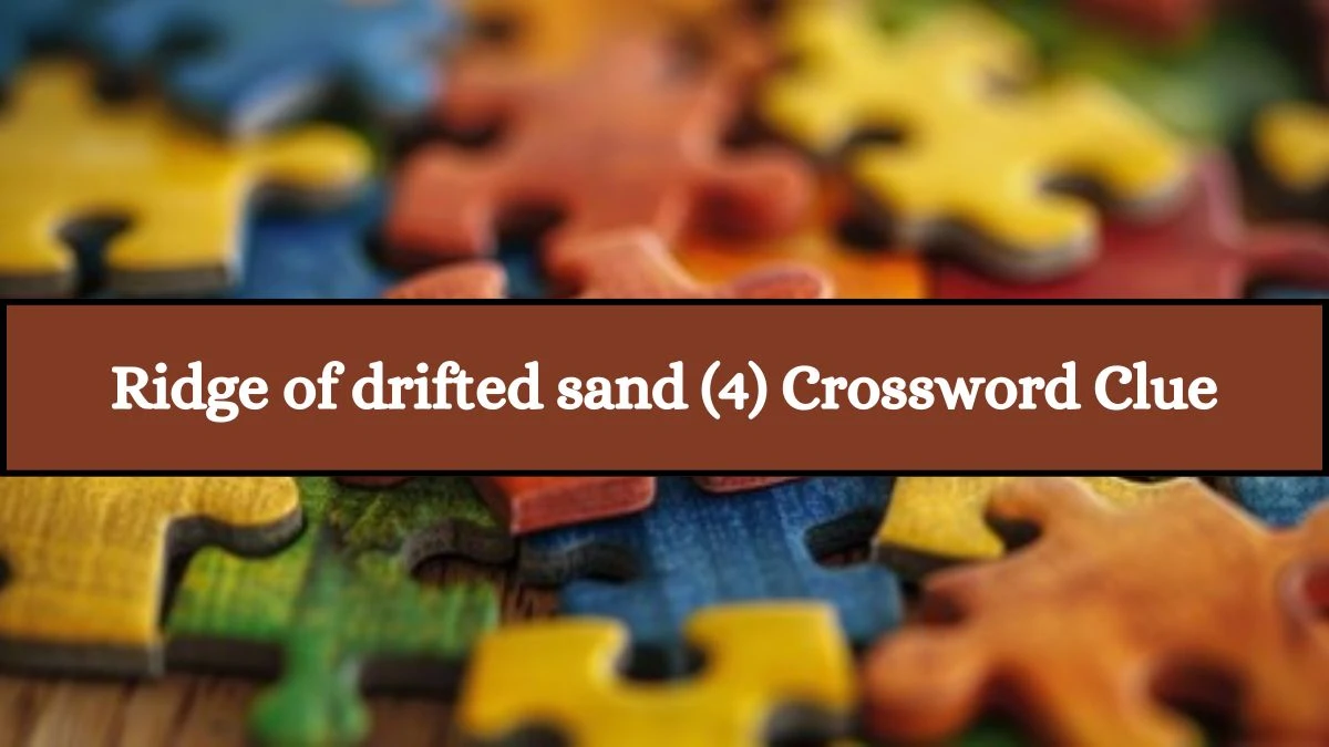 Ridge of drifted sand (4) Crossword Clue