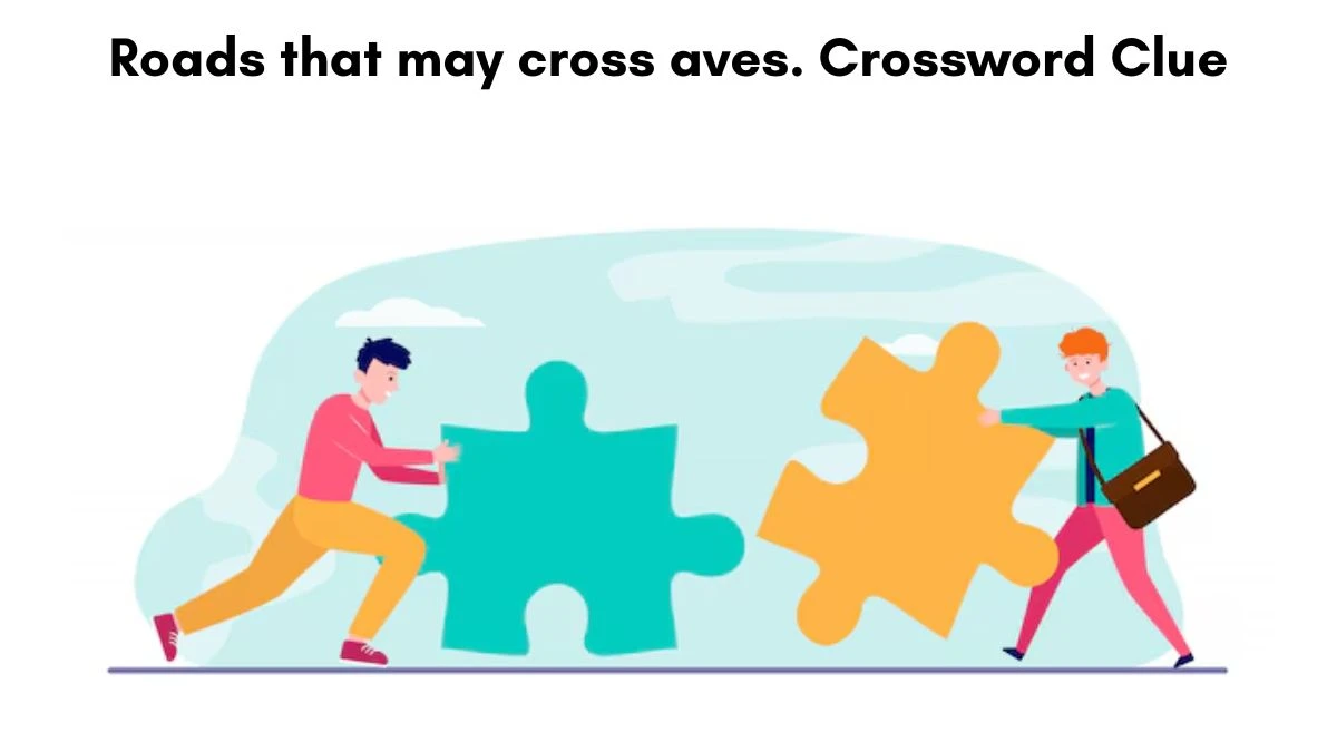 Roads that may cross aves. Crossword Clue