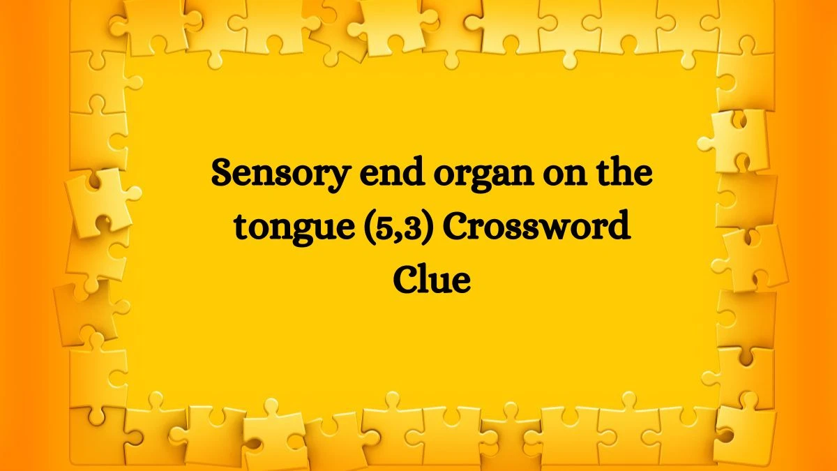 Sensory end organ on the tongue (5,3) Crossword Clue