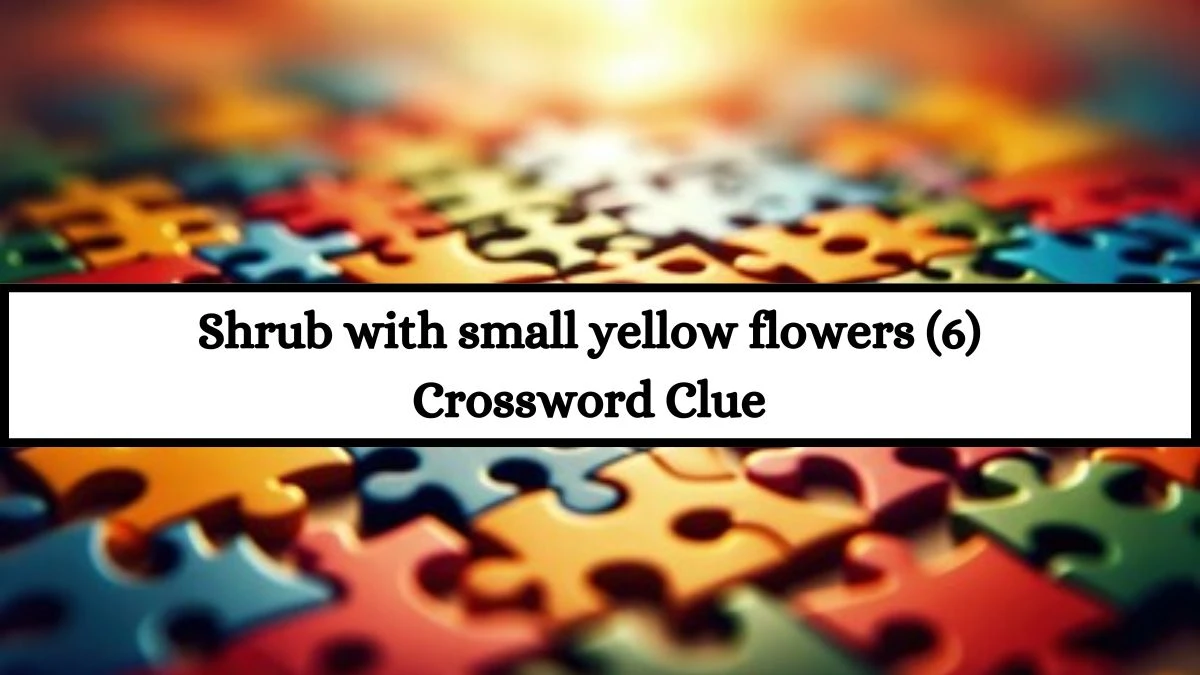 Shrub with small yellow flowers (6) Crossword Clue