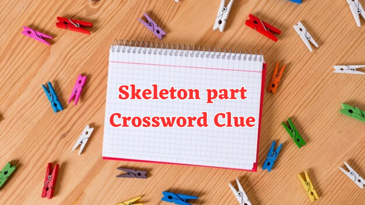 Skeleton part Crossword Clue 4 Letters