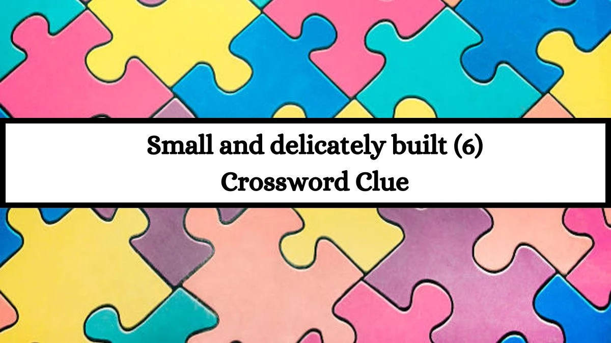 Small and delicately built (6) Crossword Clue