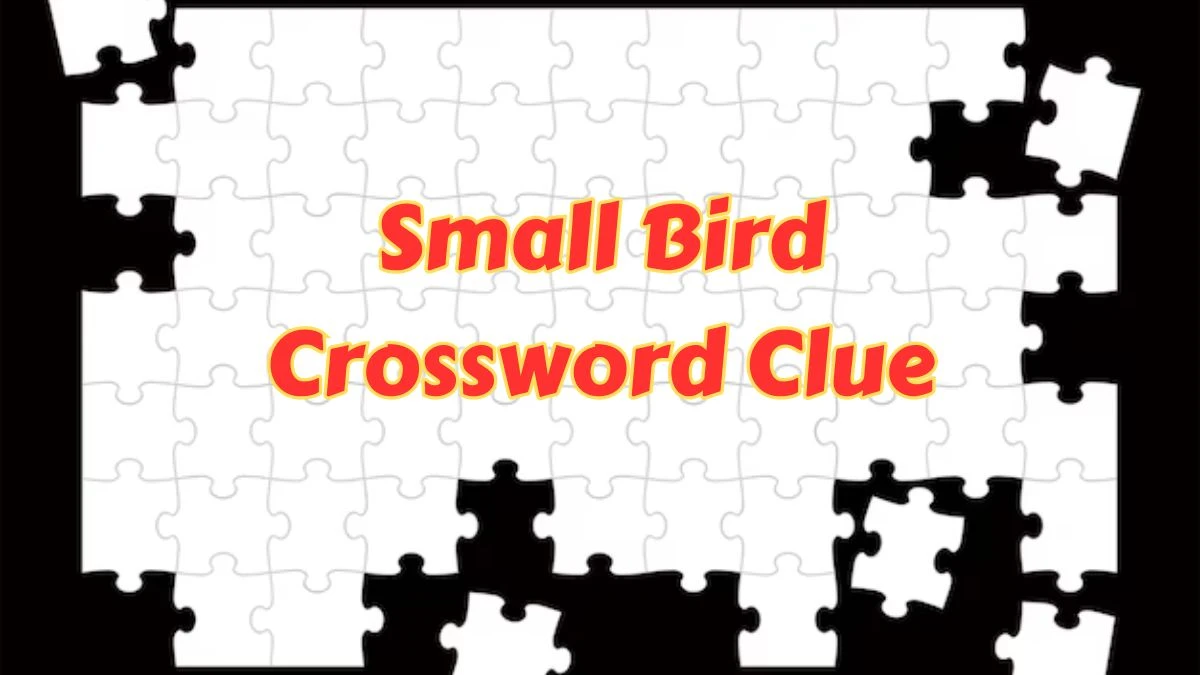 Small Bird Crossword Clue 4 Letters