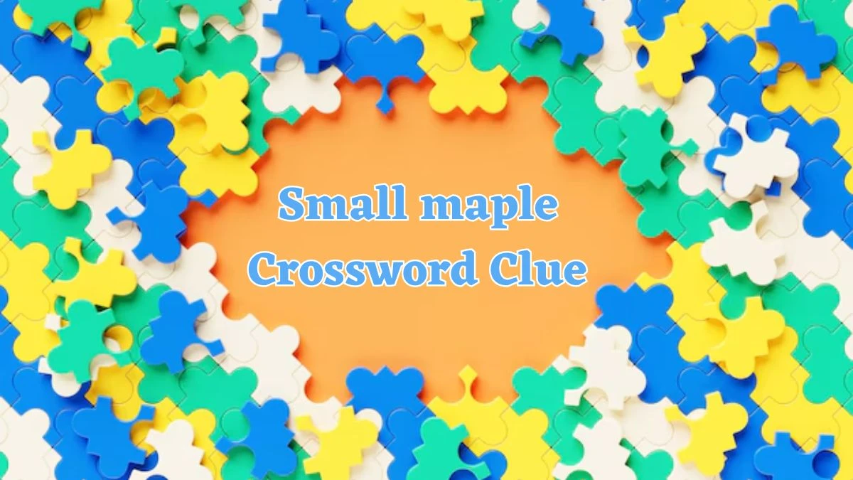 Small maple Crossword Clue 4 Letters