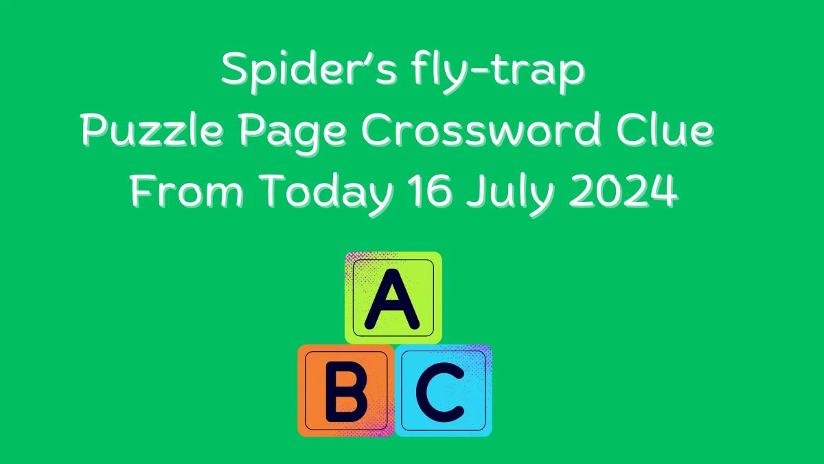 Spider’s fly-trap Puzzle Page