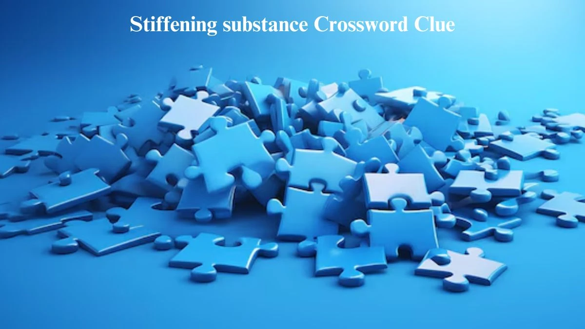 Stiffening substance Crossword Clue