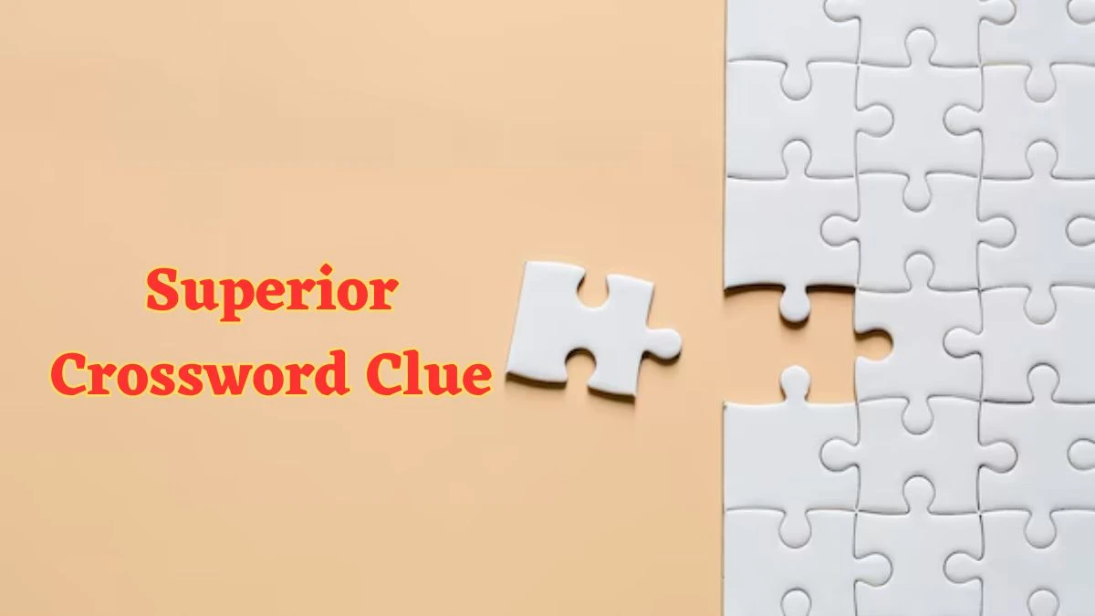 Superior Crossword Clue Mirror Quick Answer