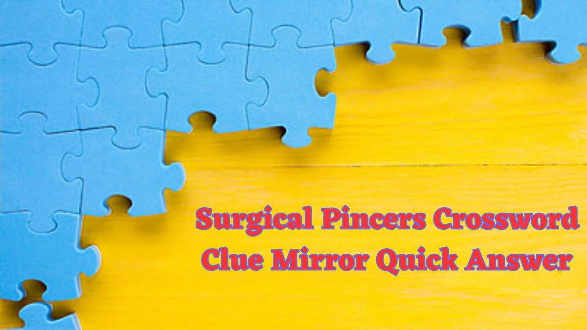 Surgical Pincers Crossword Clue Mirror Quick Answer