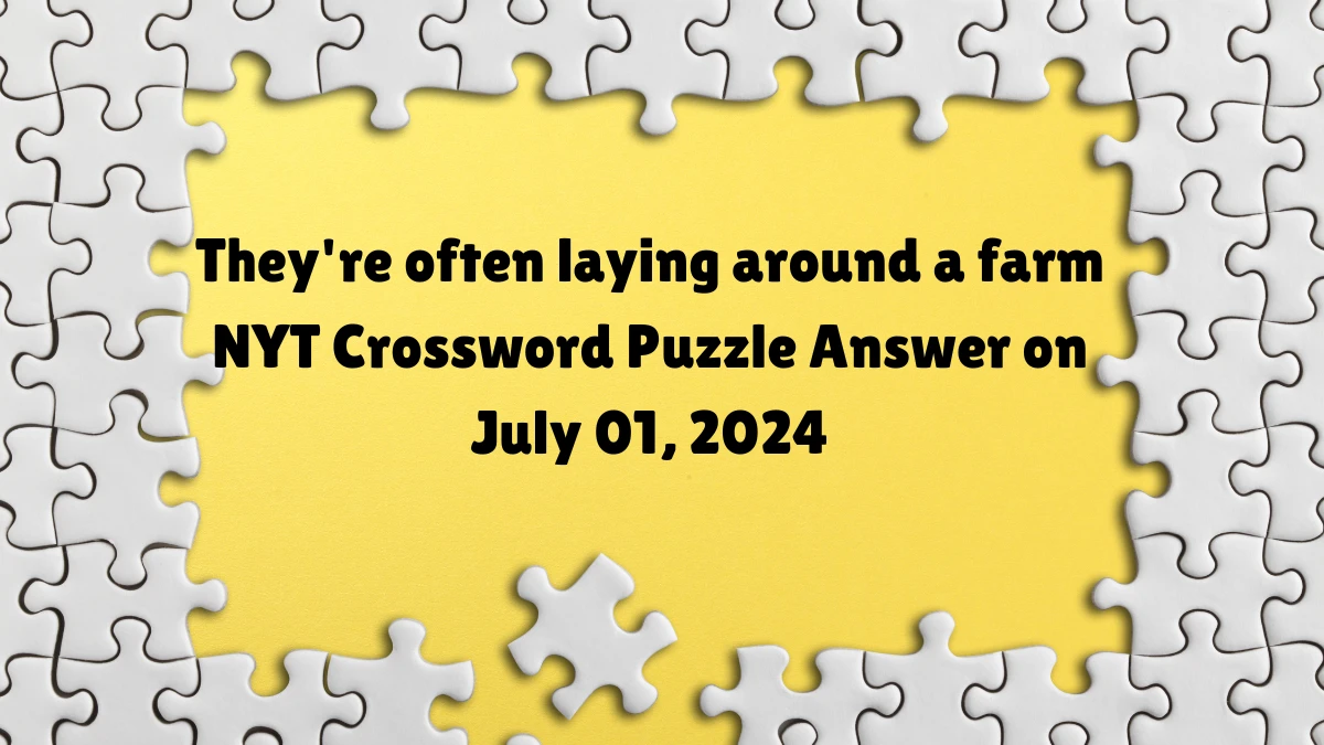They're often laying around a farm NYT Crossword Puzzle Answer on July 01, 2024