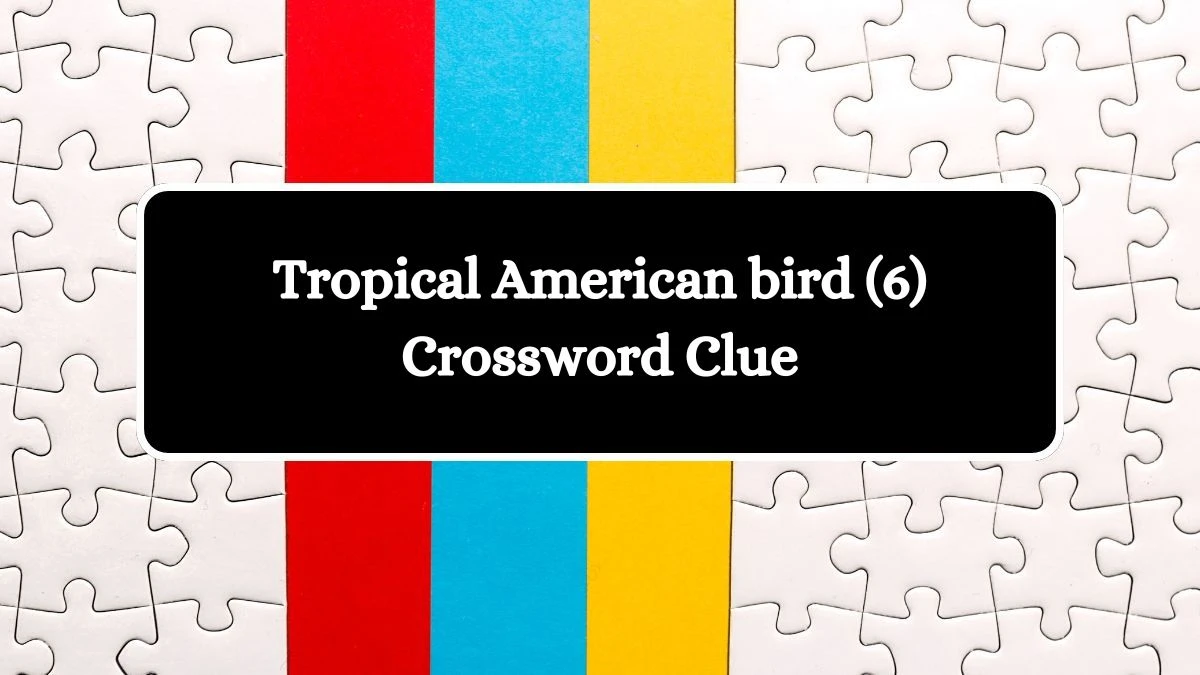 Tropical American bird (6) Crossword Clue