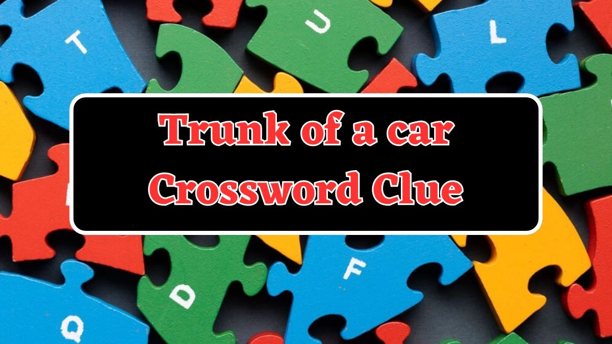 Trunk of a car Crossword Clue 4 Letters