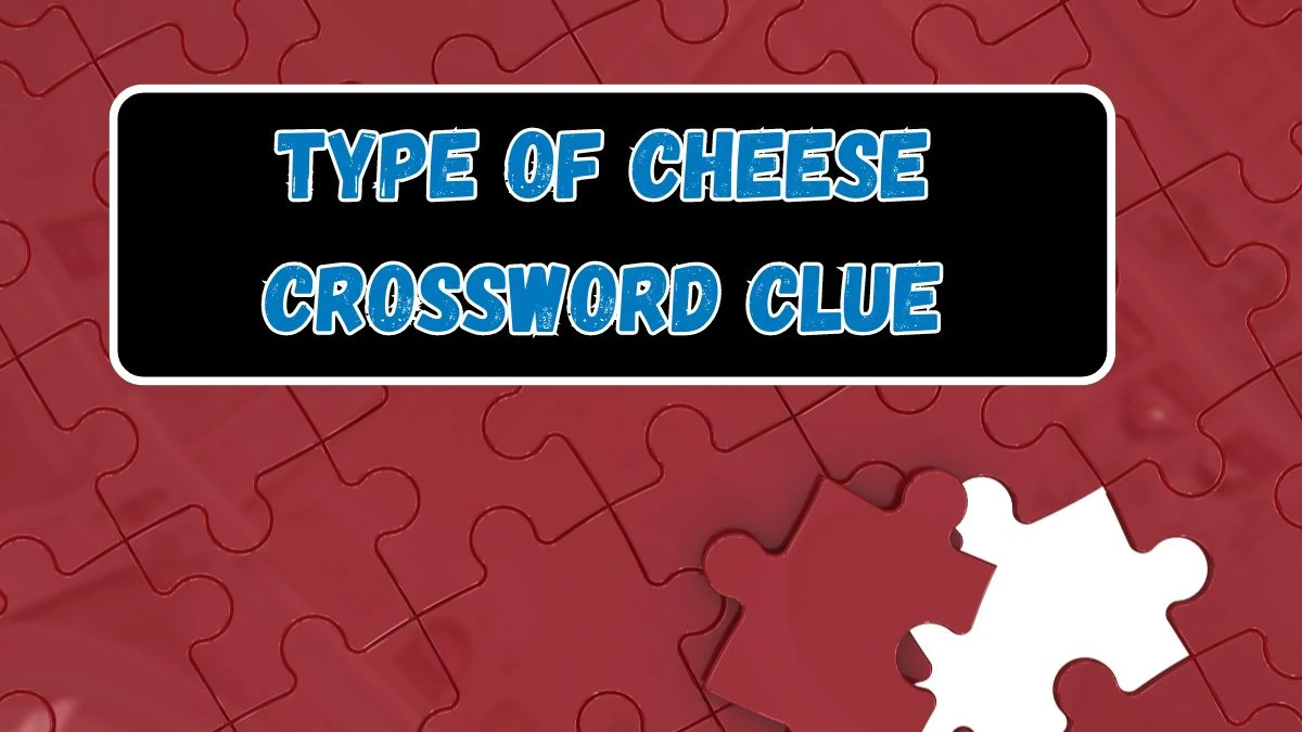 Type of cheese Crossword Clue 4 Letters