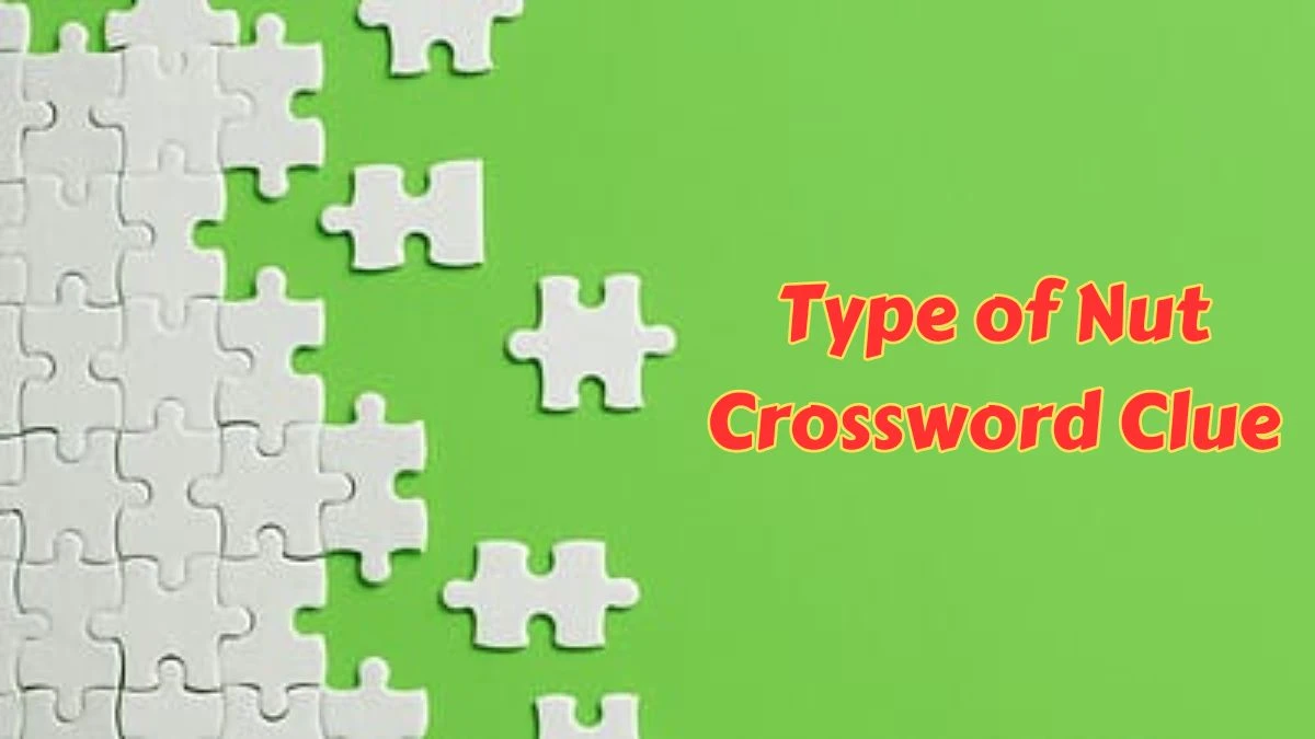 Type of Nut Crossword Clue 5 Letters