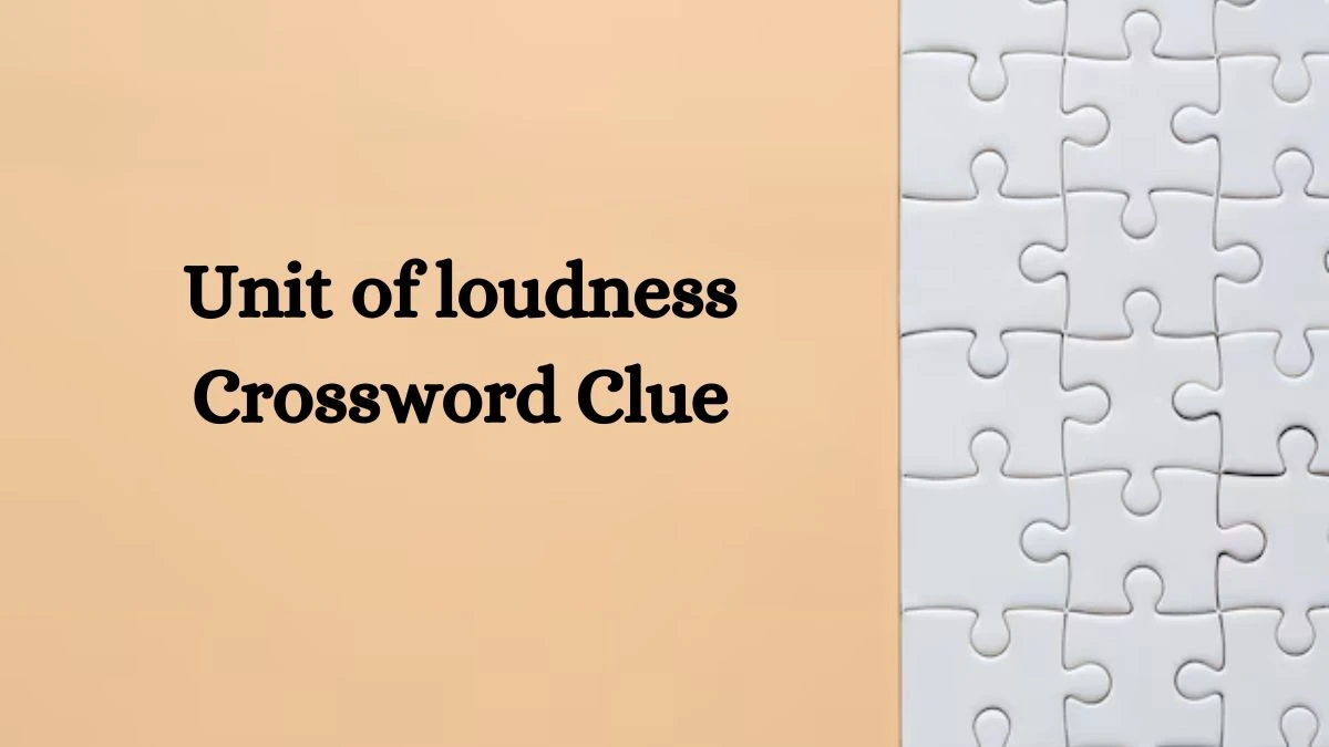 Unit of loudness Crossword Clue