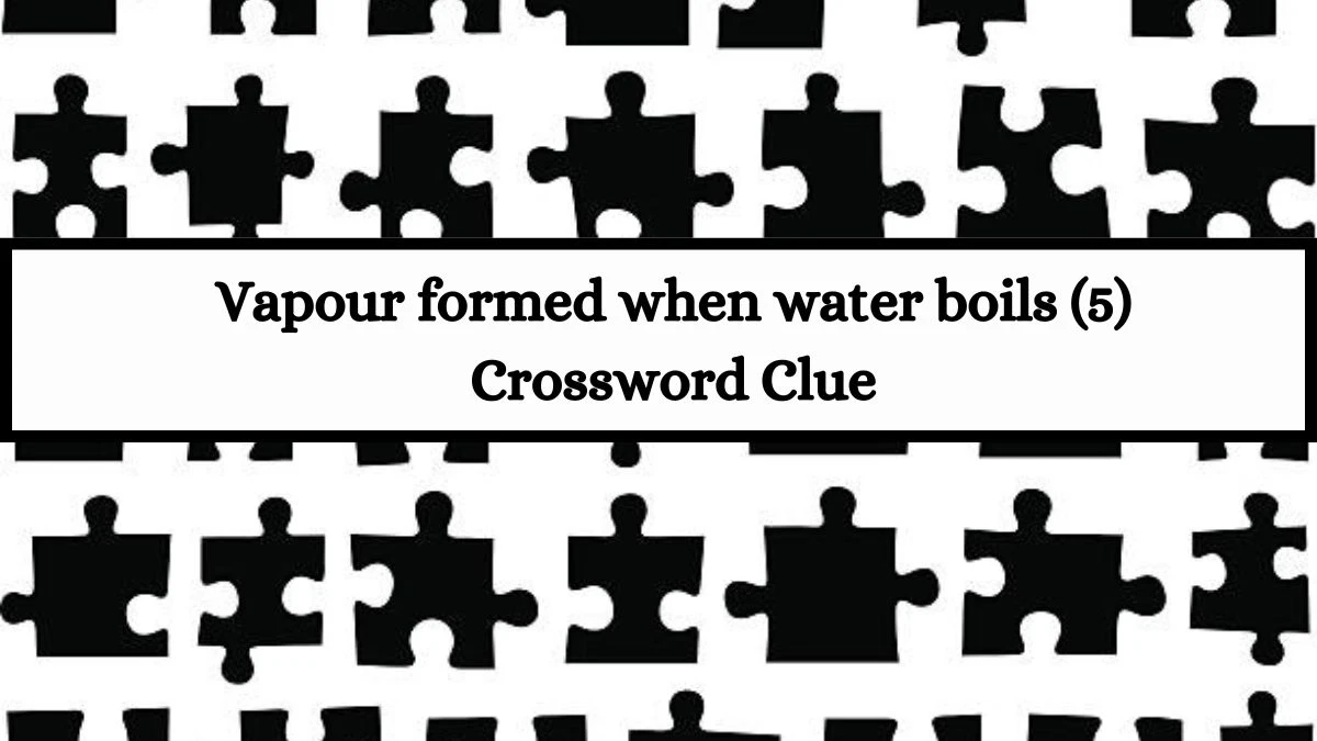 Vapour formed when water boils (5) Crossword Clue