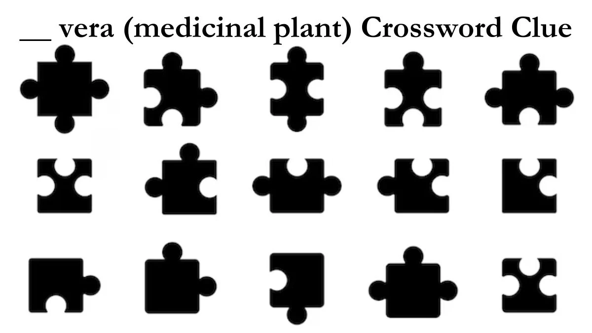 __ vera (medicinal plant) Crossword Clue Newsday Answer