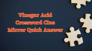 Vinegar Acid Crossword Clue Mirror Quick Answer