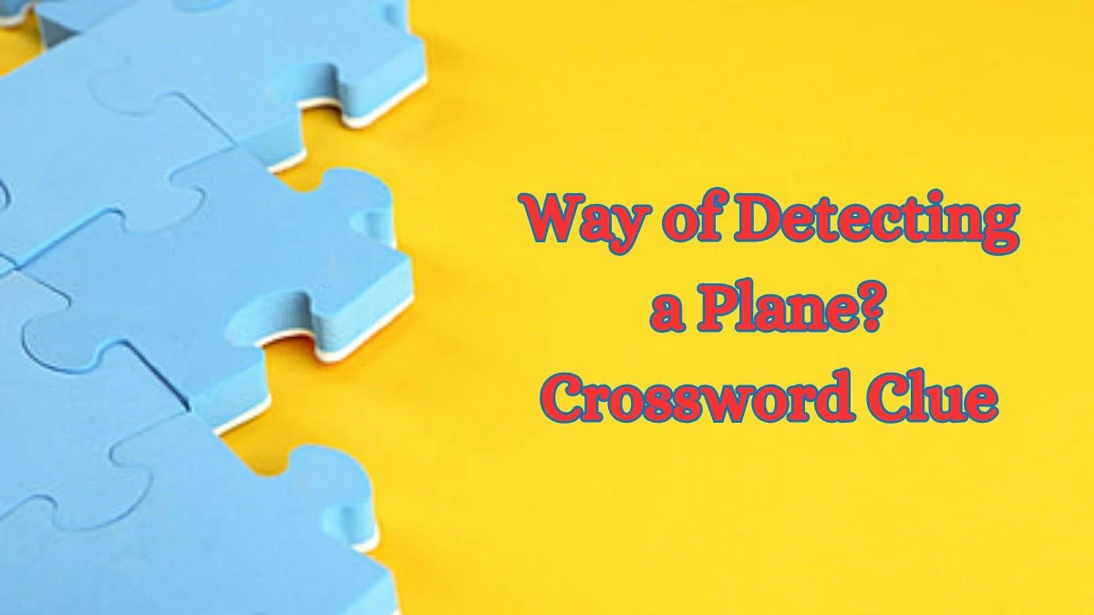 Way of Detecting a Plane? Crossword Clue ​Mirror Quick Answer