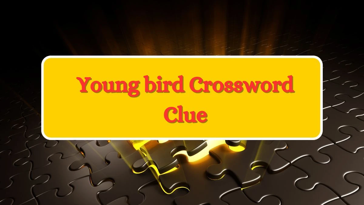 Young bird Crossword Clue