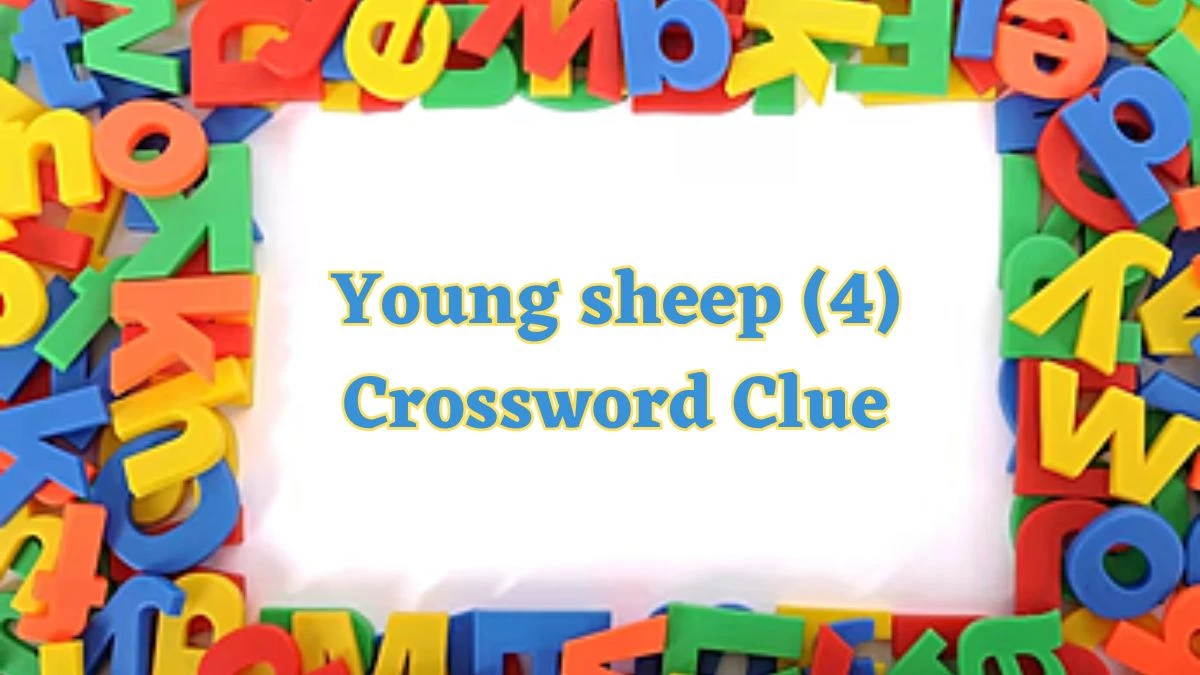 Young sheep (4) Crossword Clue 4 Letters