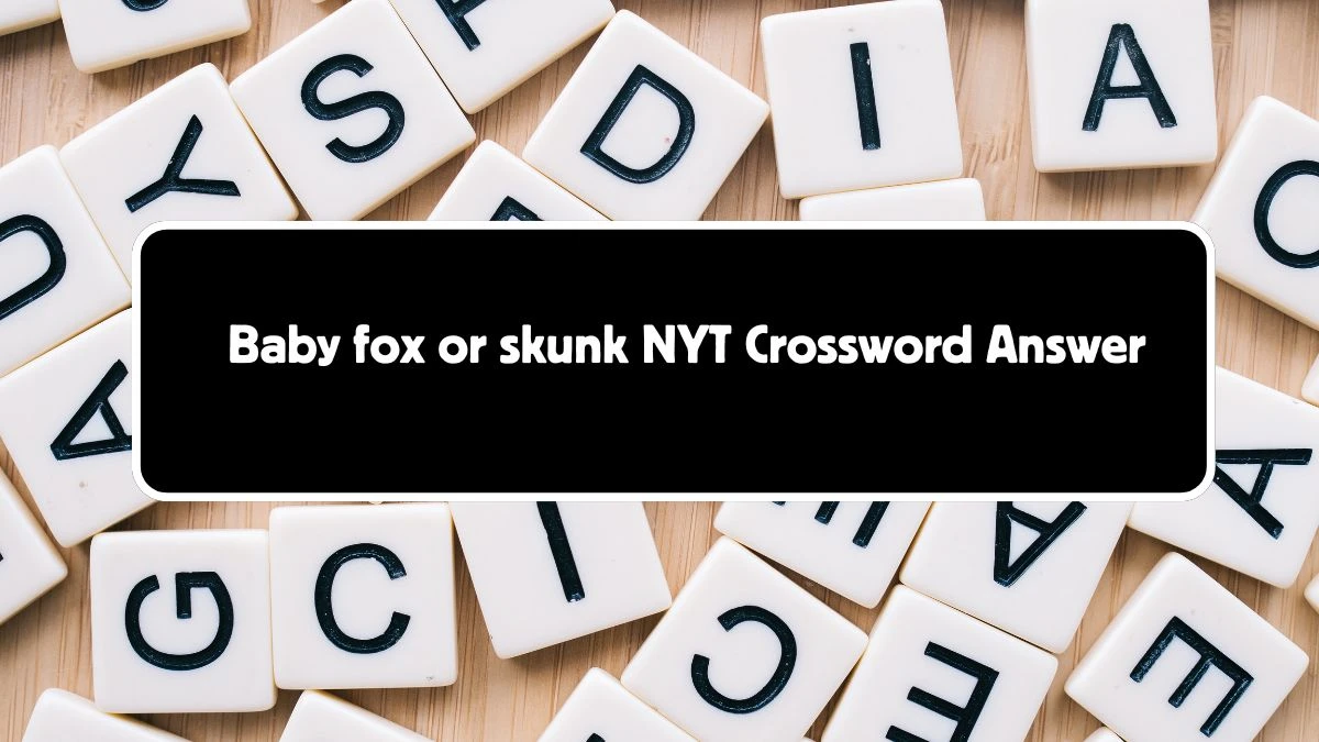 Baby fox or skunk NYT Crossword Answer for August 03, 2024