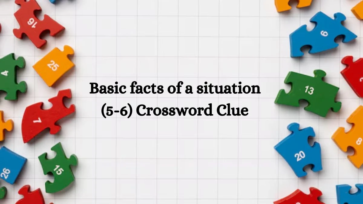 Basic facts of a situation (5-6) Crossword Clue