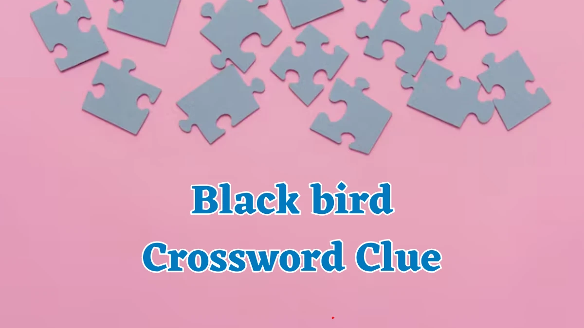 Black bird Crossword Clue 5 Letters